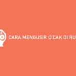 Cara Mengusir Cicak di Rumah