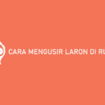 Cara Mengusir Laron di Rumah