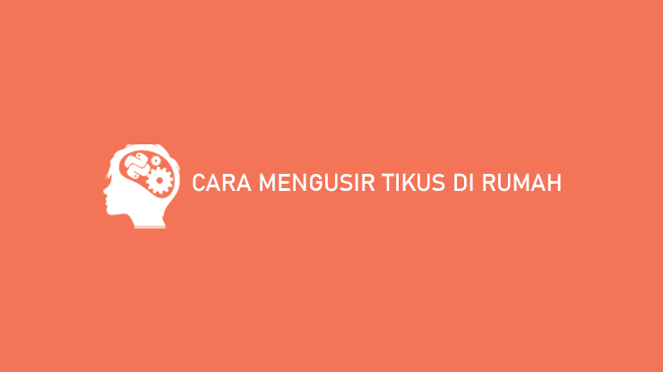 Cara Mengusir Tikus di Rumah