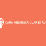 Cara Mengusir Ular di Rumah