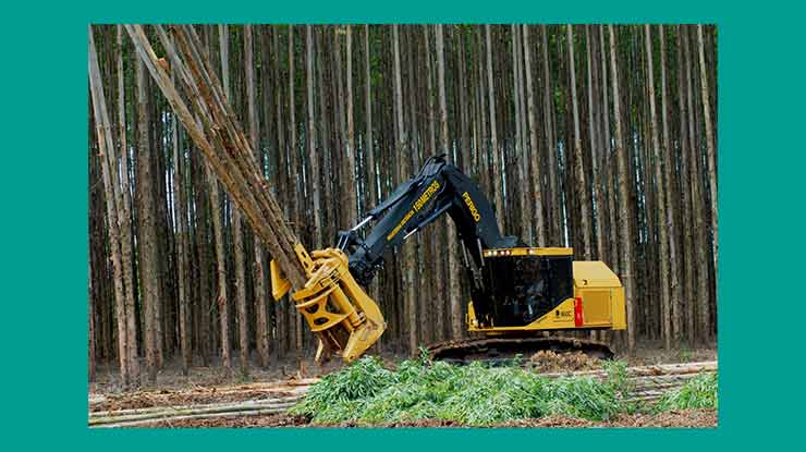 Cara Kerja Feller Buncher