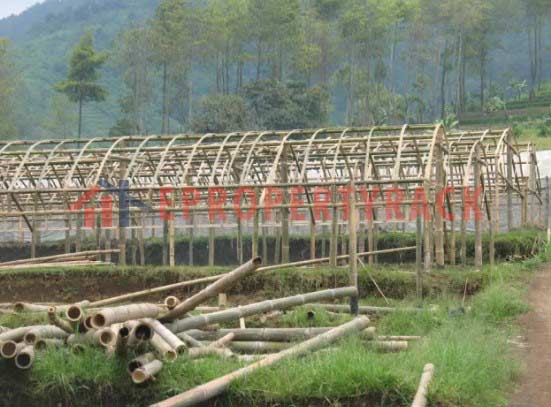 tipe campuran green house bambu