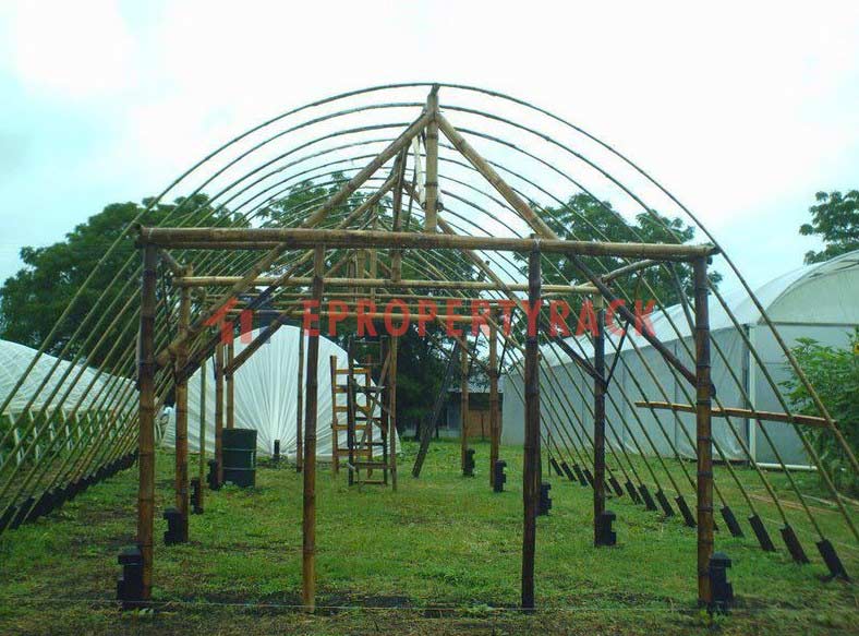 tipe tunnel green house bambu