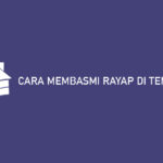 CARA MEMBASMI RAYAP DI TEMBOK