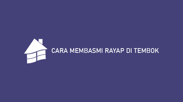 CARA MEMBASMI RAYAP DI TEMBOK