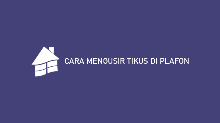 CARA MENGUSIR TIKUS DI PLAFON