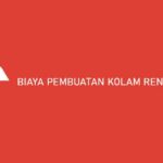 biaya pembuatan kolam renang